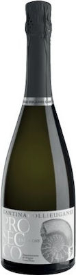 Prosecco extra dry, Cantina Colli Euganei.